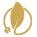 process img