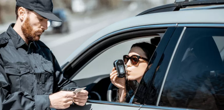 Tips for Driving Safely With Pets in the Car